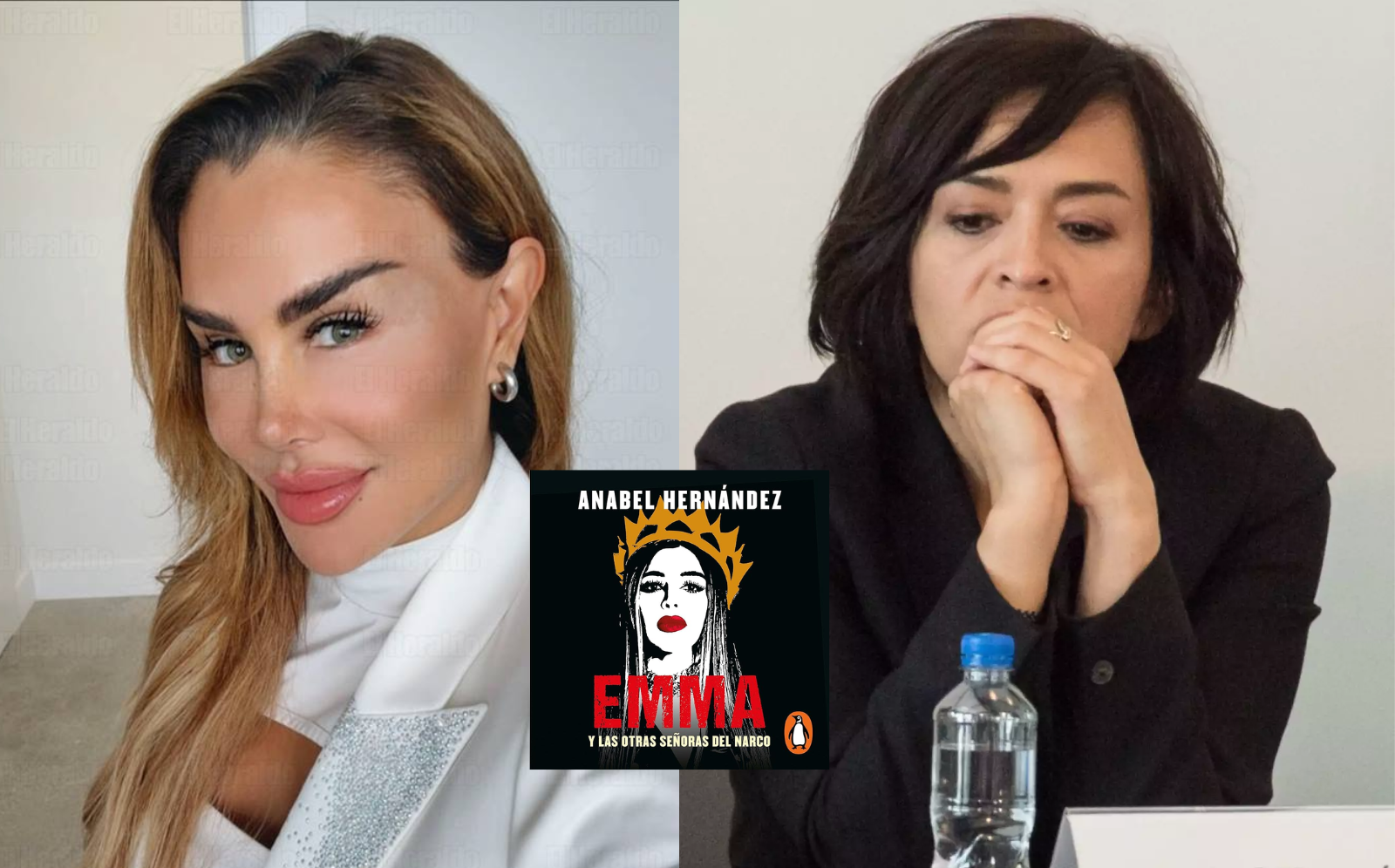 Ninel Conde pierde demanda contra Anabel Hernández en Estados Unidos